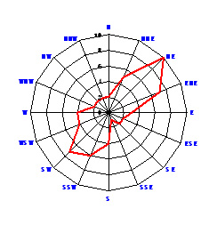 图3  西安1970-2009年风玫瑰图