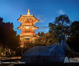 李白山的夜晚