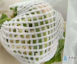 菜贱伤农