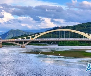 灞河濕地生態(tài)向好 白鷺蒼鷺成群棲息