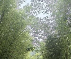 鲸鱼沟的风光