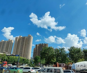 灞桥生态湿地公园