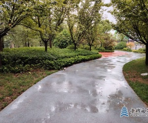长鸣路边绿地小广场