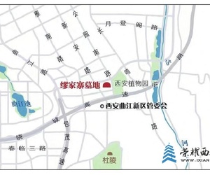 西安缪家寨发现罕见T形平面新莽时期砖室墓 出土遗物70余件组