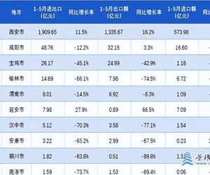 我省各地2025年1-5月进出口额排行  西安遥遥领先  咸阳第二  榆林不敌宝鸡