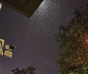 雨中