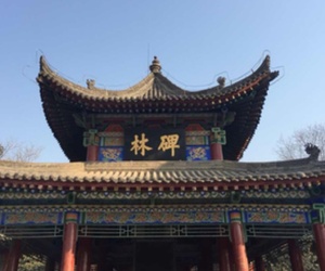 【晚八点红包】西安碑林博物馆发布最新票价调整公告，你觉得博物馆应该收费吗？