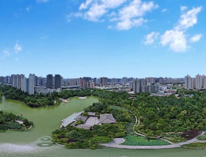 夏日豐慶公園賞荷季