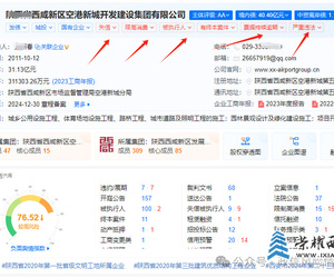 失信、被执行人、票据持续逾期、严重违法等，西咸新区空港新城开发建设集团爆雷