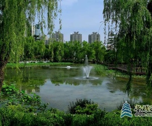 绿色兴庆公园