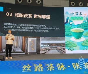 #第十九届西安国际茶业博览会#
