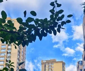 我們小區(qū)的藍天