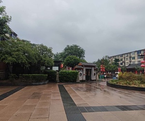大雁塔的雨晨