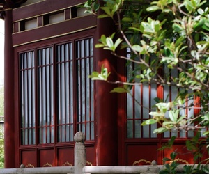 兴庆公园即景