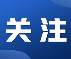 荣耀西安网9月份累计受理网络侵权举报13件有效举报10件