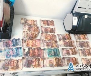 西安七旬老人錢埋地下發(fā)霉 銀行“考古式”拼接挽回部分損失