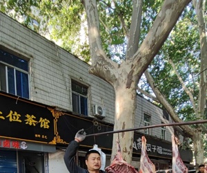 摆着羊头卖羊肉的小伙