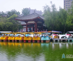 丰庆公园掠影