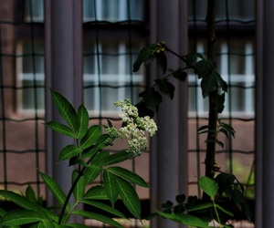 大雨快來了（與主題無關(guān)）