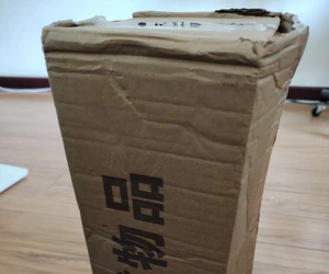 小绿植收到了