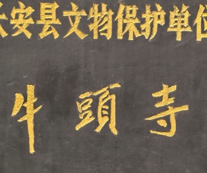 我拍的不是照片，是心境