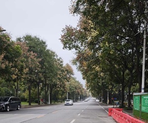 芙蓉西路雁塔村段晨拍