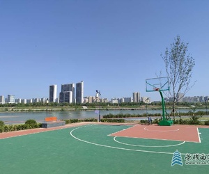 仲夏的渭河边