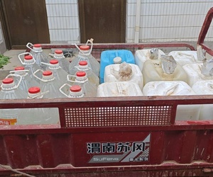 【记录劳动美】最近没有有效降水，从家里打水去地里抗旱保苗