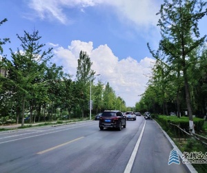 星期天下午騎車(chē)子去浐河看美景