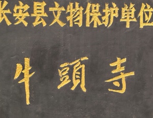 我拍的不是照片，是心境