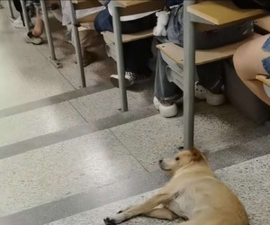 大学校园这么宽松吗？