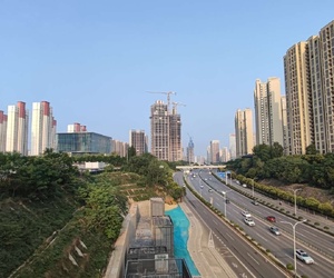 地铁8号线去植物园全程体验
