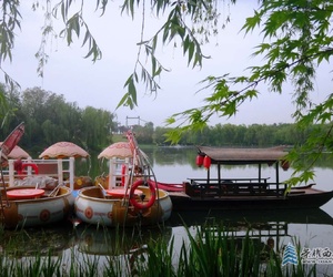 清凉一夏的大明宫