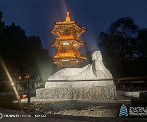 兴庆宫游李白山