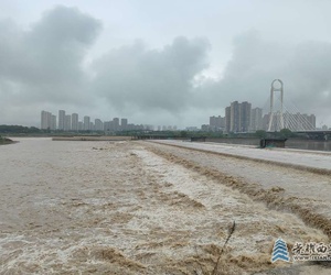渭河水很大