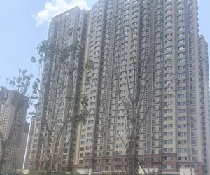 西安园林部门就是一群尸位素餐的懒汉