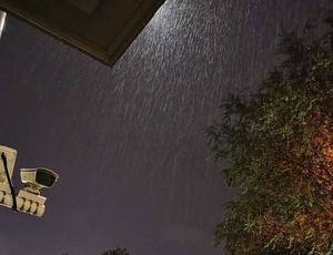雨中