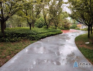 长鸣路边绿地小广场