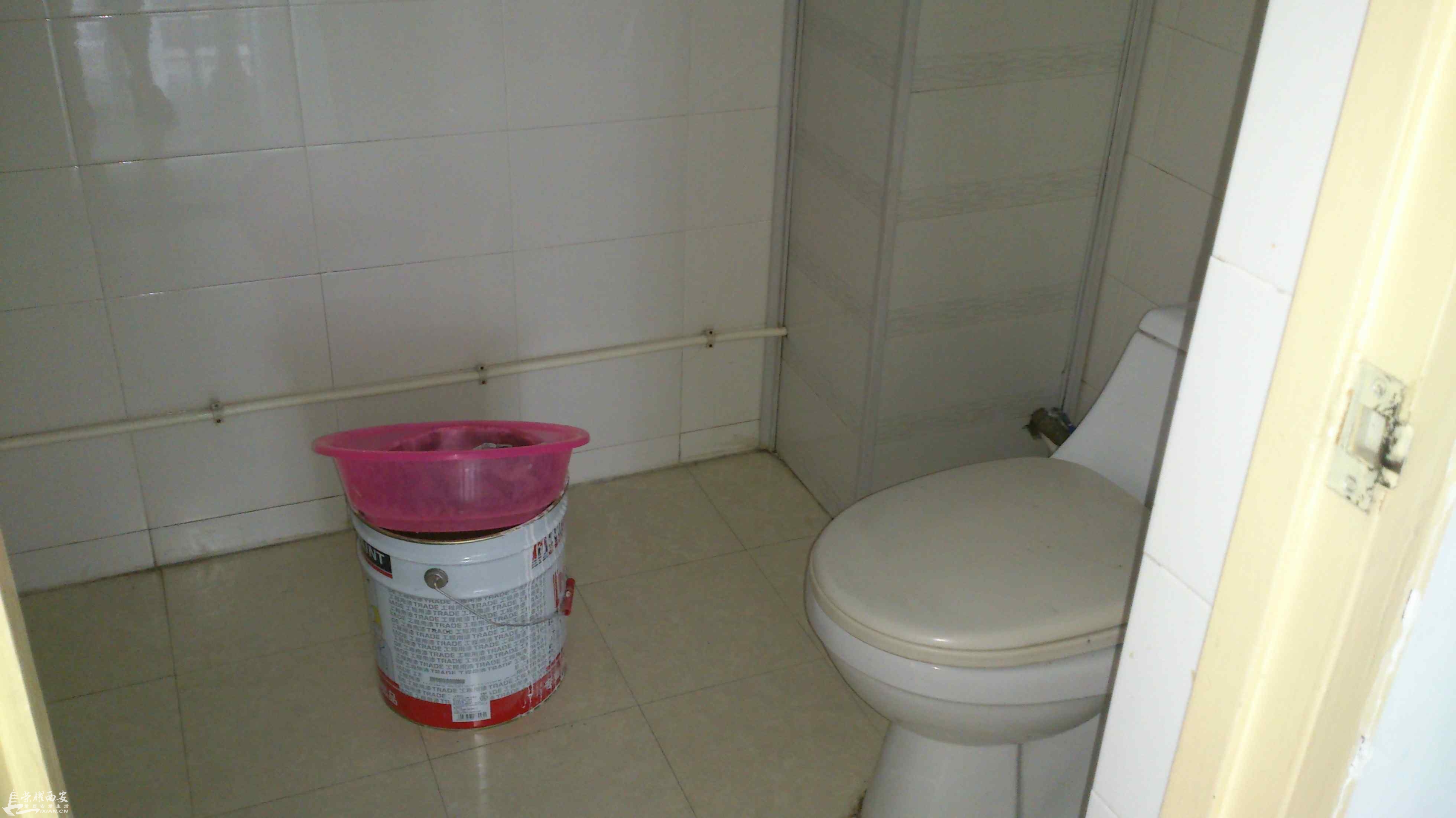 厕所2.jpg
