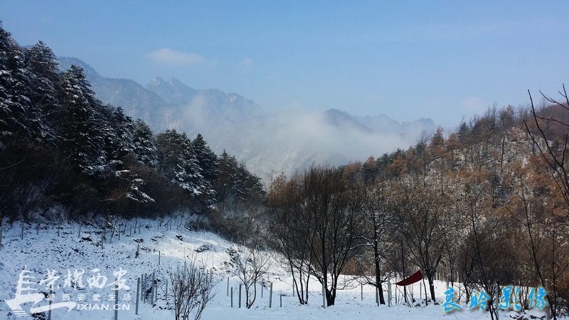 秦岭沣峪小坝沟图片