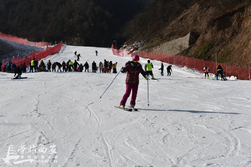 191.JPG