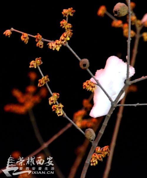 JPG_0838.JPG