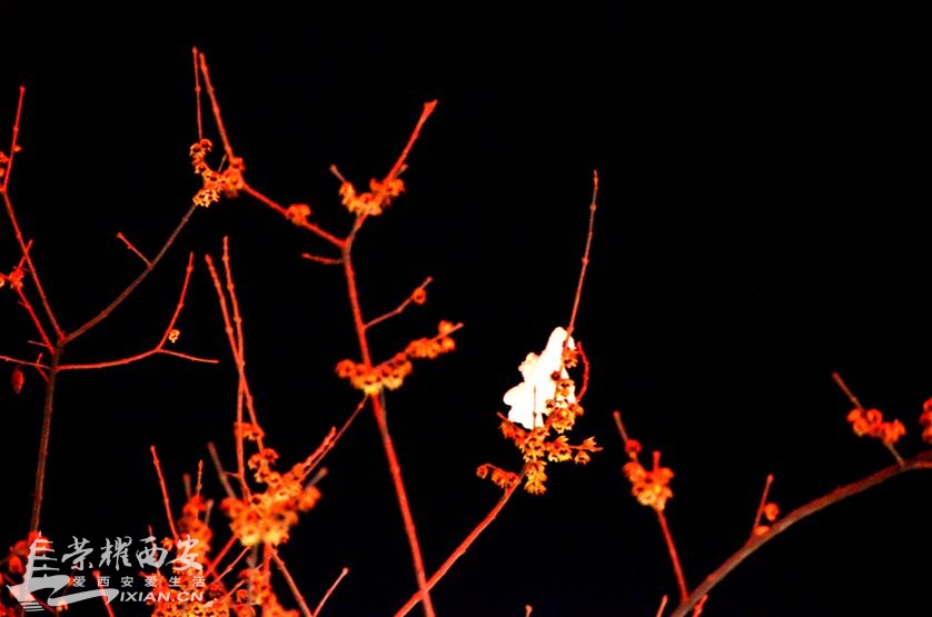 JPG_0853.JPG