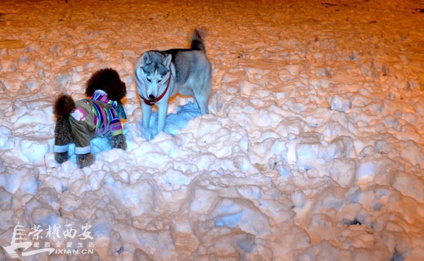 JPG_0959.JPG