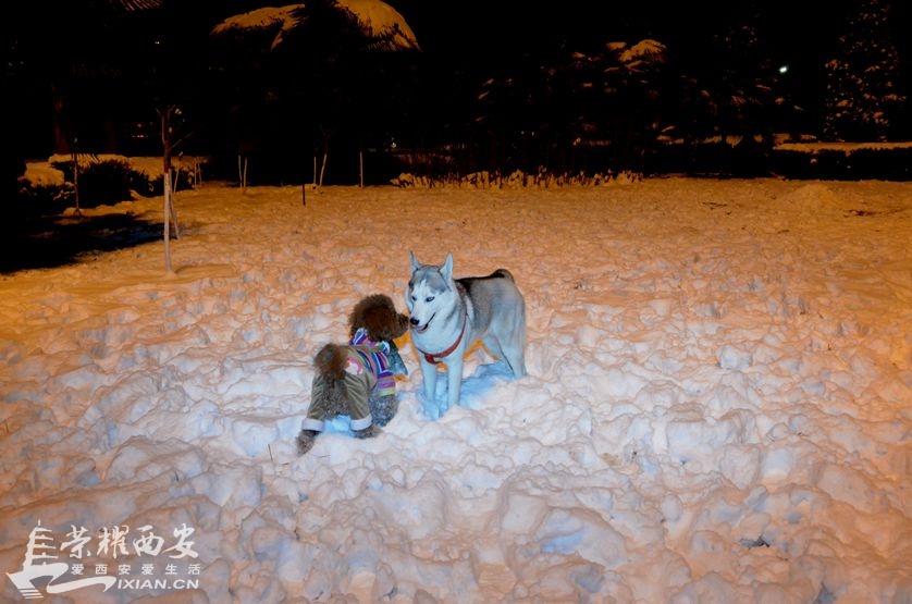 JPG_0961.JPG