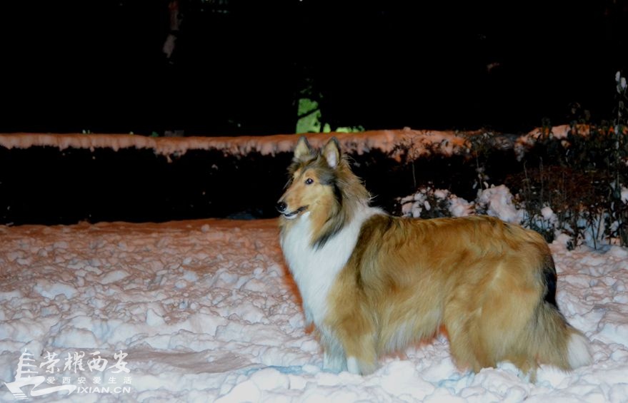 JPG_0984.JPG