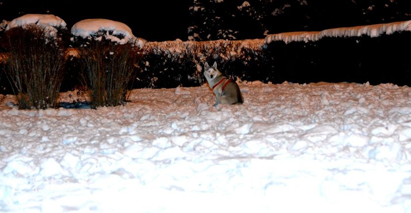 JPG_0987.JPG