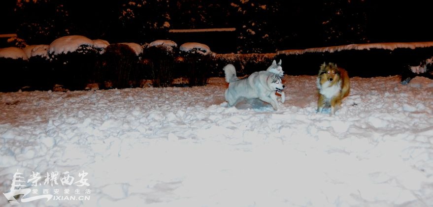 JPG_0992.JPG