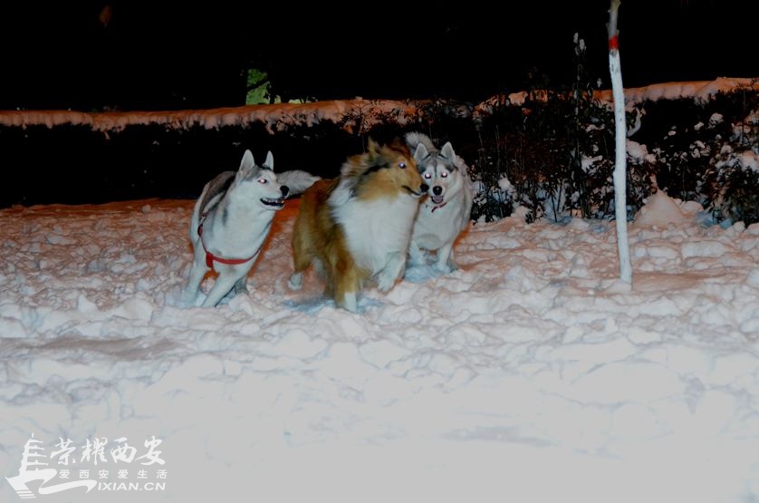 JPG_0996.JPG