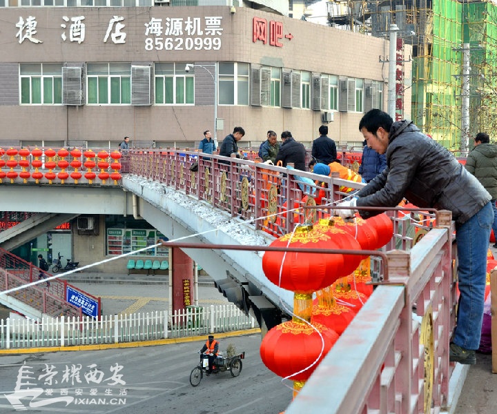JPG_1139.JPG